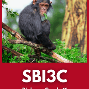 Biology, Grade 11, College Preparation (SBI3C)