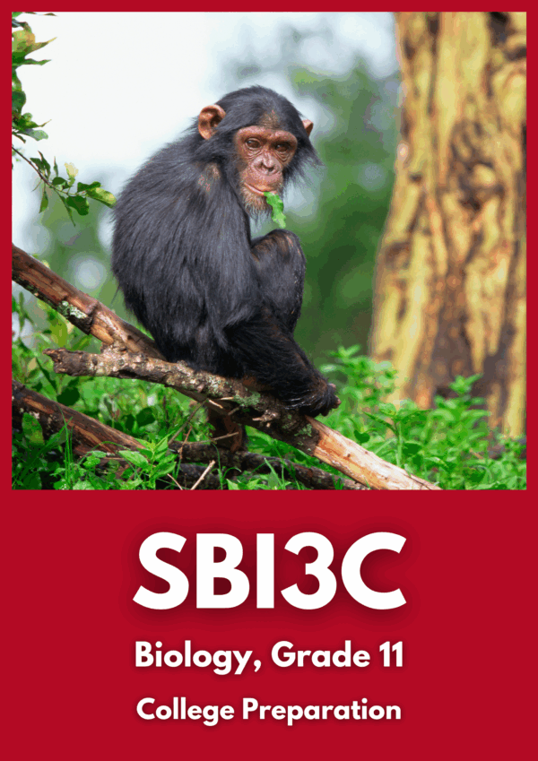 Biology, Grade 11, College Preparation (SBI3C)